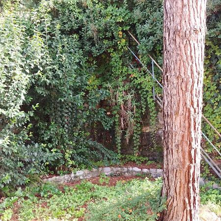 Casa Tina Santa Margherita Ligure Exterior foto