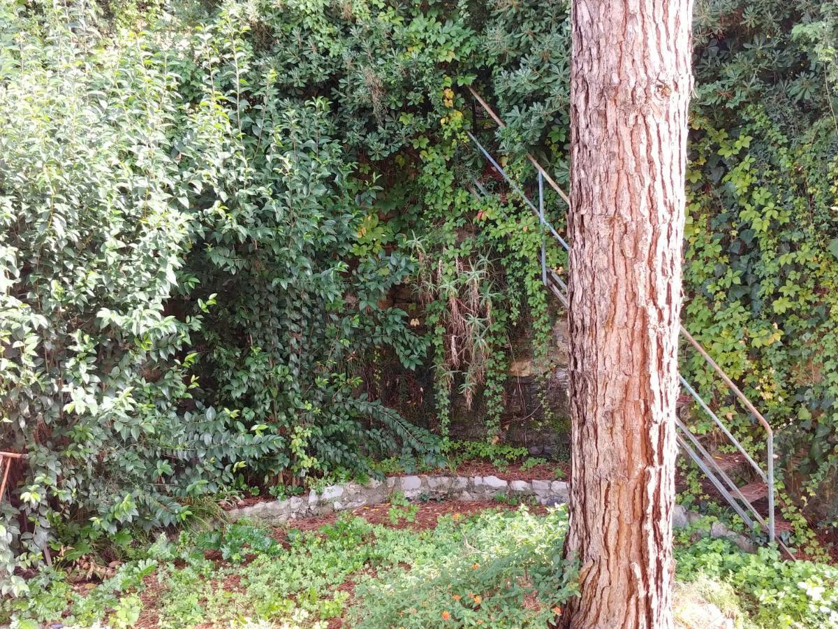 Casa Tina Santa Margherita Ligure Exterior foto